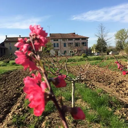 Fattoria Del Soul 招待所 *